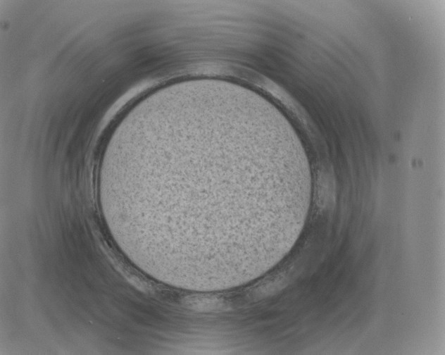 X0000082680886200702232135