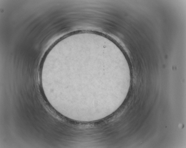 X0000082680887200702232135