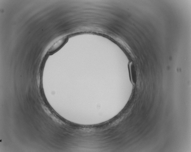 X0000082680888200702232135