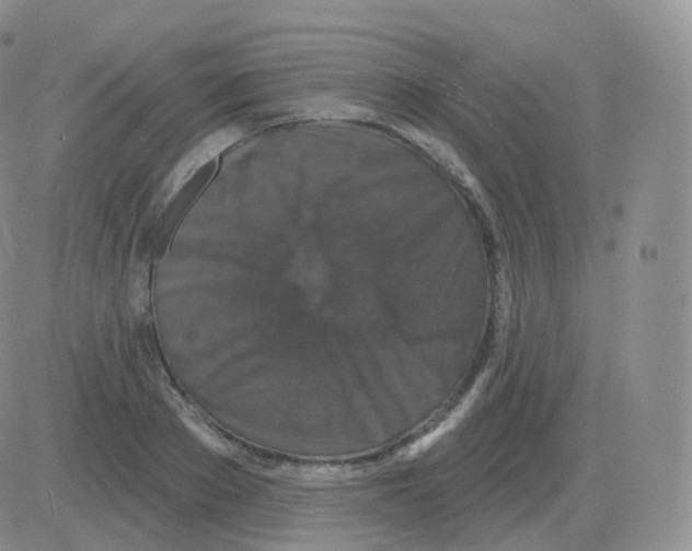 X0000082680889200702232135