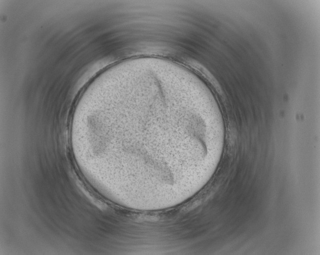 X0000082680890200702232135