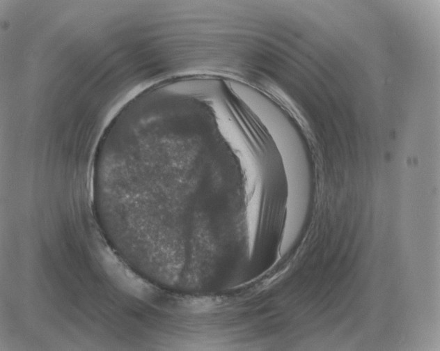 X0000082680892200702232135