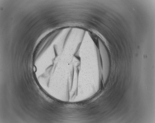 X0000082680894200702232135