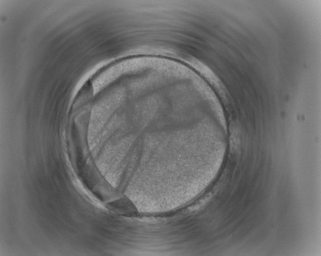 X0000082680896200702232135