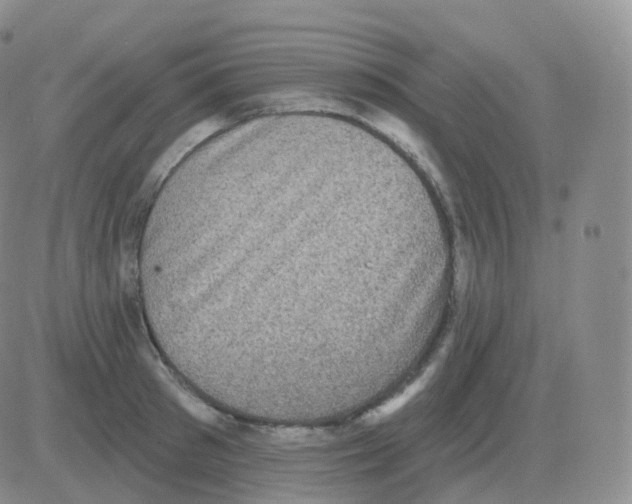 X0000082680897200702232135