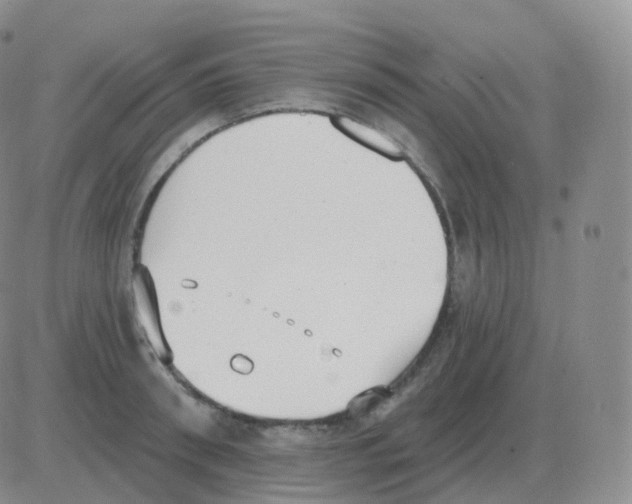 X0000082680898200702232135