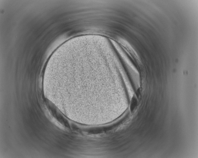 X0000082680900200702232135