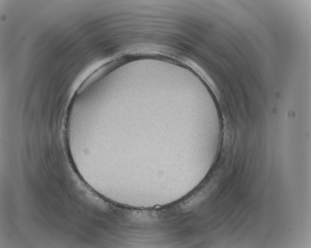 X0000082680901200702232135