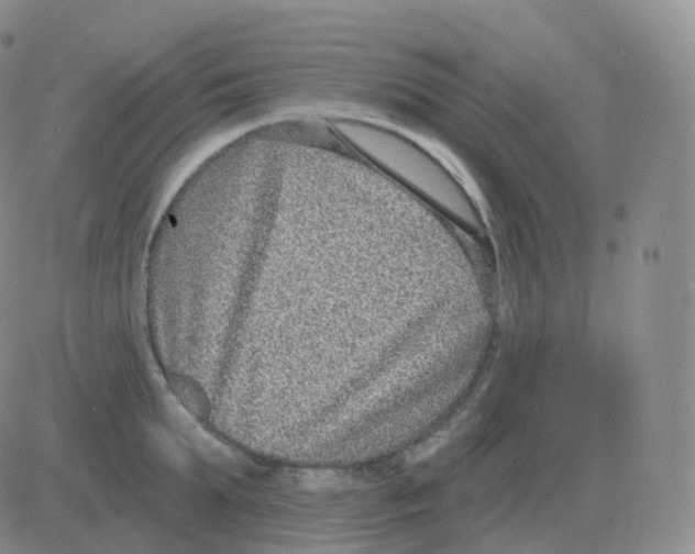 X0000082680903200702232135