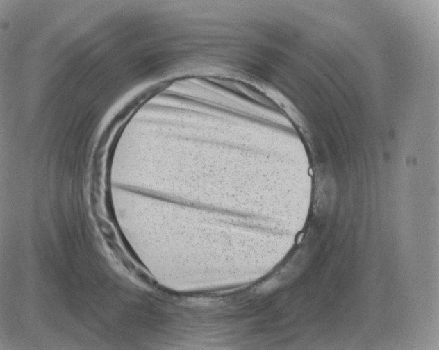 X0000082680904200702232135