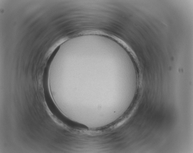 X0000082680905200702232135