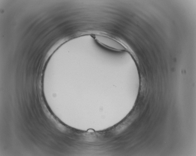 X0000082680906200702232135