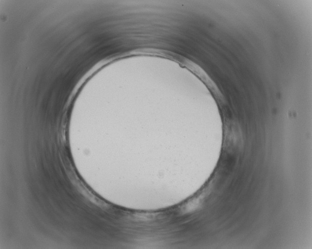 X0000082680908200702232135