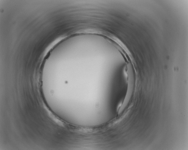 X0000082680909200702232135