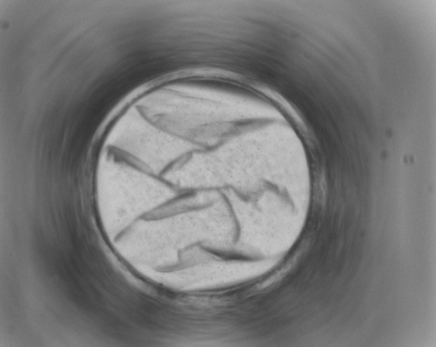 X0000082680910200702232135