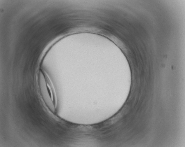 X0000082680912200702232135