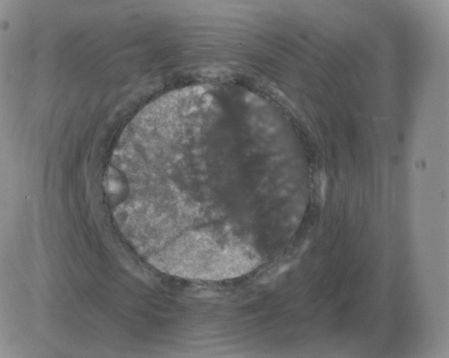 X0000082680913200702232134