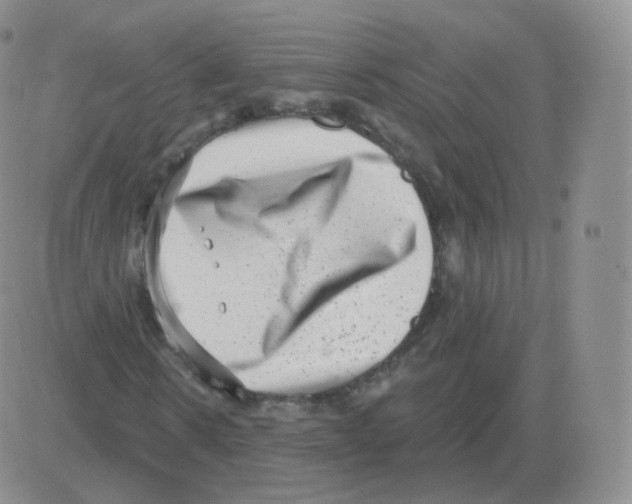 X0000082680914200702232134