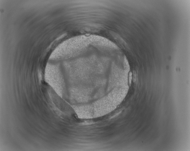 X0000082680915200702232134