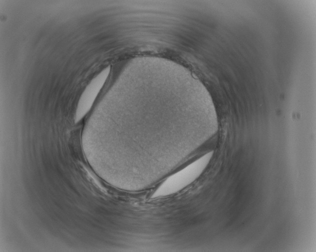 X0000082680916200702232134