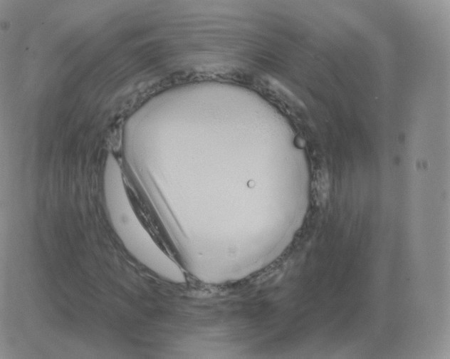 X0000082680917200702232134