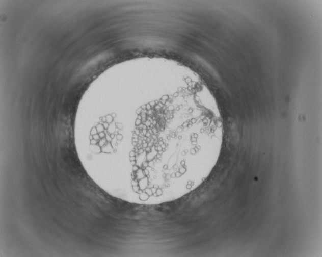 X0000082680918200702232134