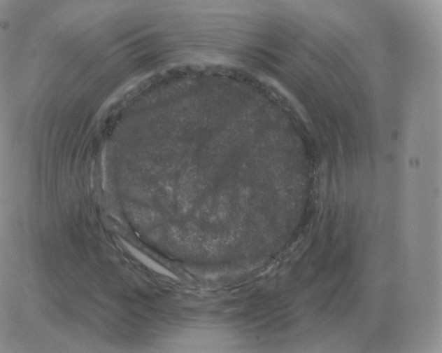 X0000082680919200702232134