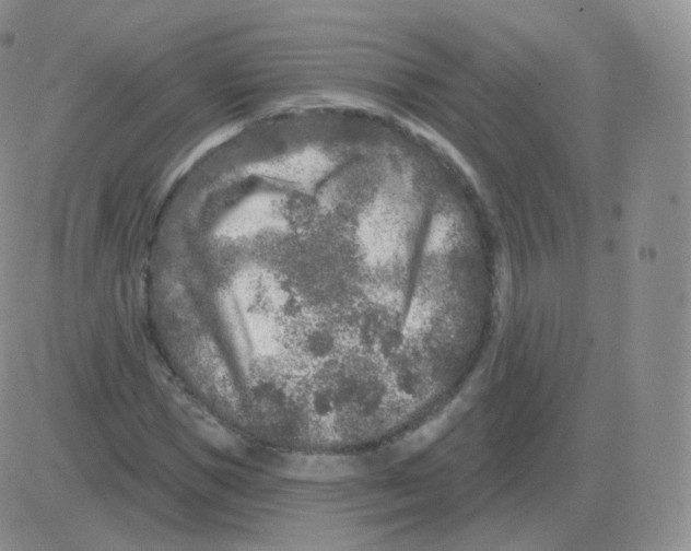 X0000082680921200702232134