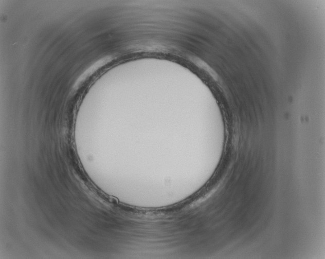 X0000082680922200702232134