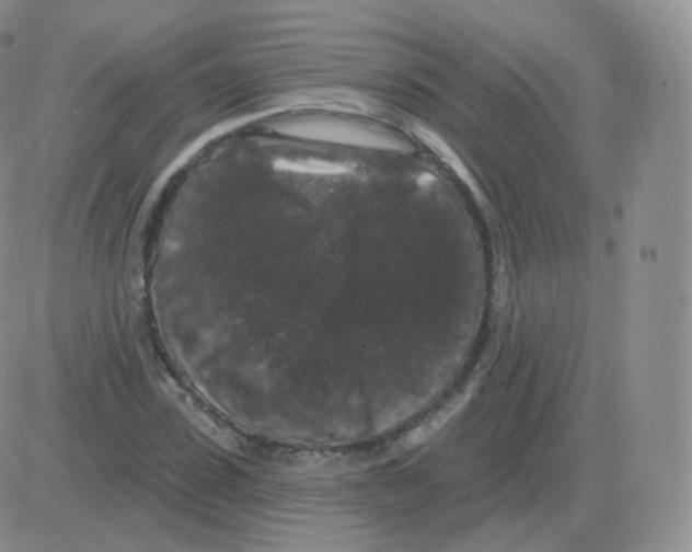 X0000082680923200702232134