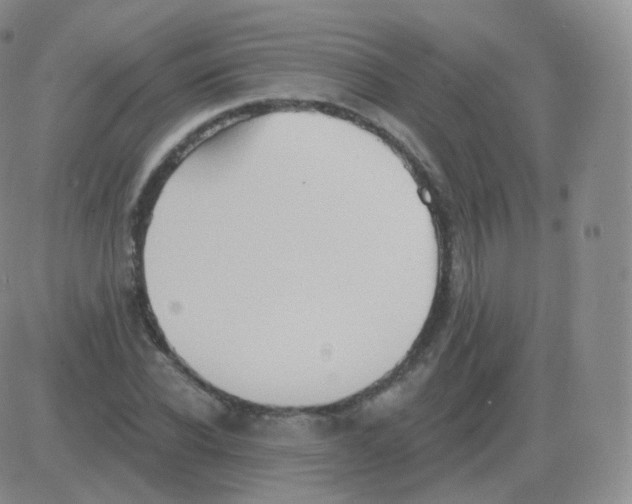 X0000082680926200702232134