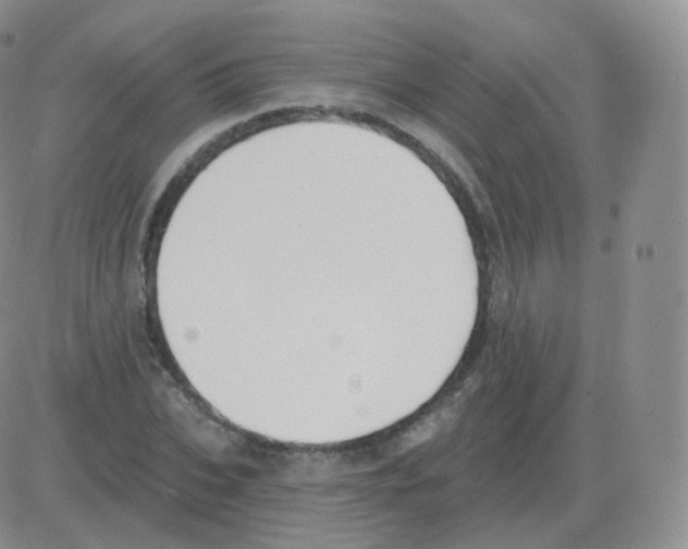 X0000082680927200702232134