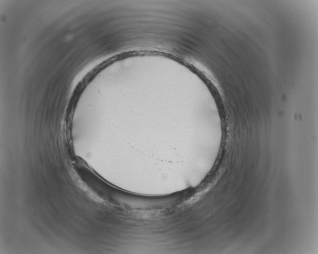 X0000082680928200702232134