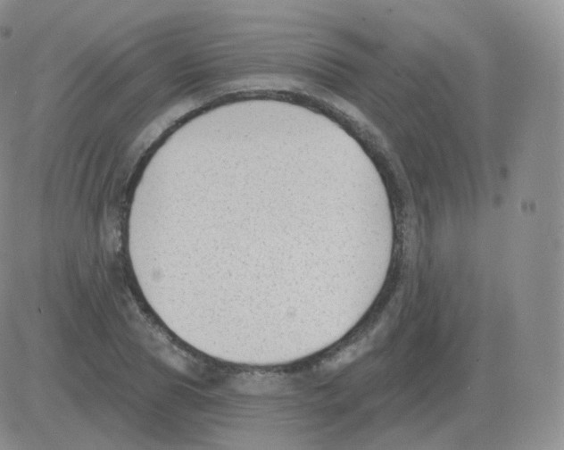 X0000082680929200702232134