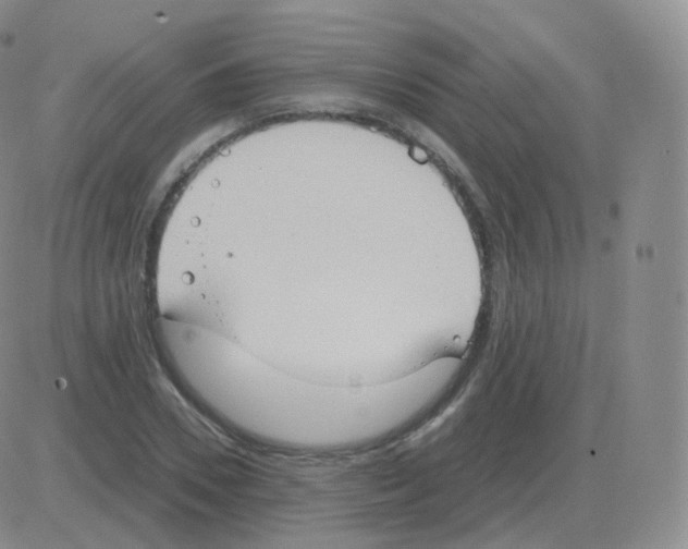 X0000082680930200702232134