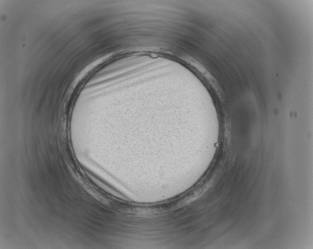 X0000082680933200702232134