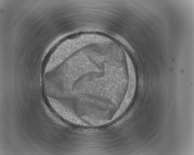 X0000082680934200702232134