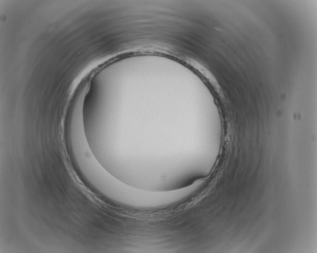 X0000082680936200702232134