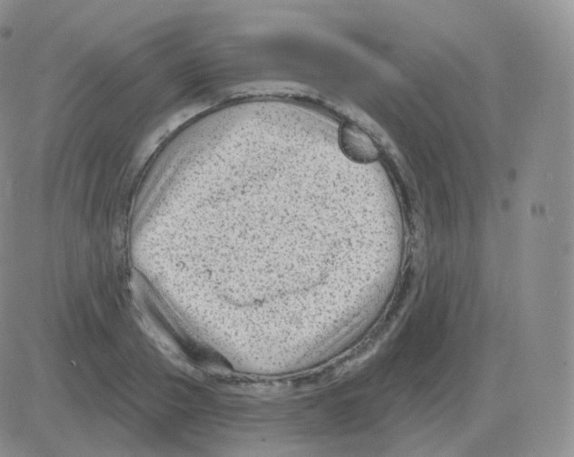 X0000082680937200702232134