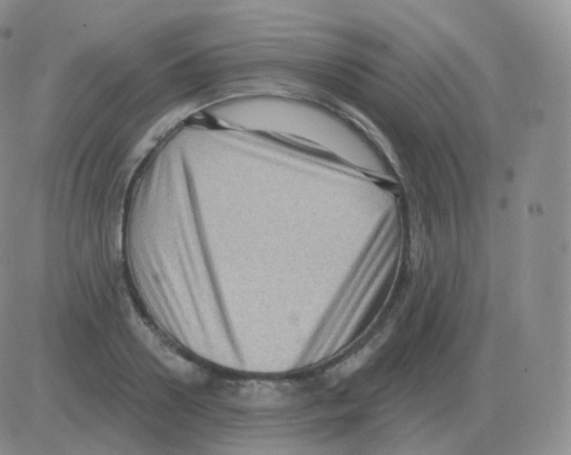 X0000082680938200702232134