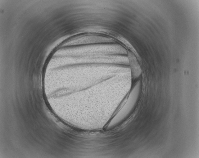 X0000082680939200702232134