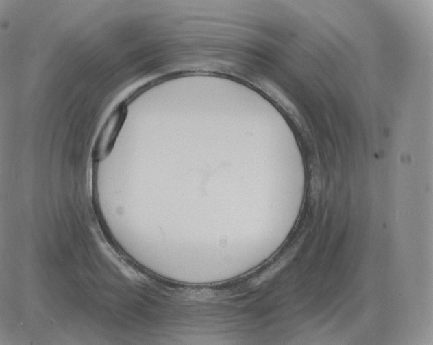 X0000082680940200702232134