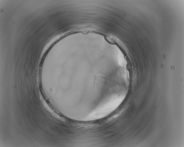 X0000082680941200702232134