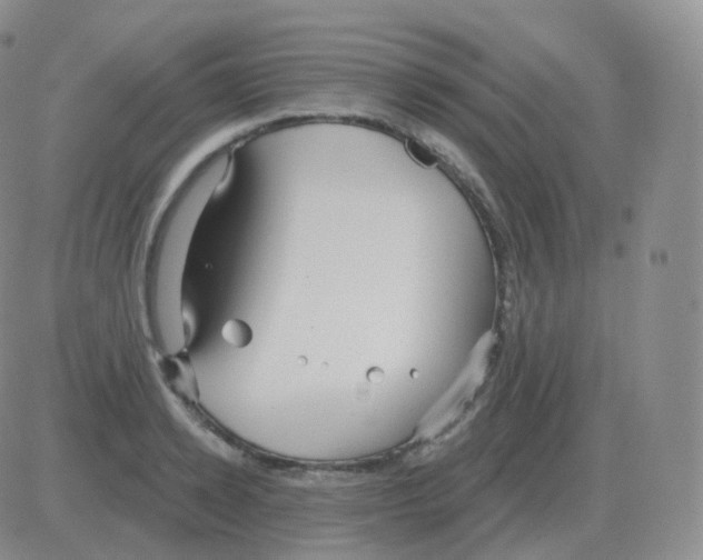 X0000082680942200702232134