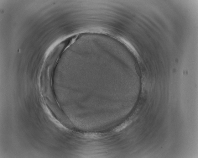 X0000082680944200702232134