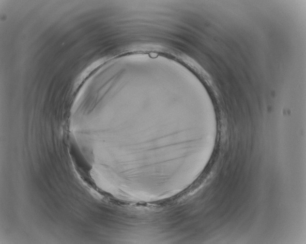 X0000082680945200702232134