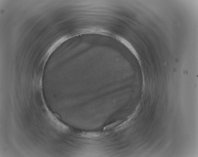 X0000082680946200702232134