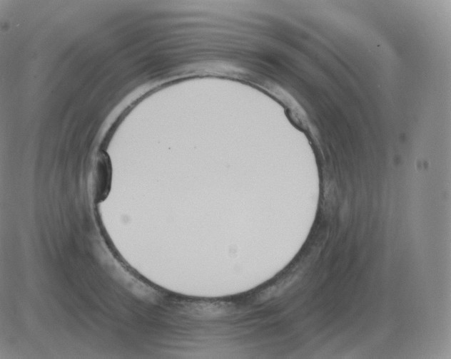 X0000082680947200702232134