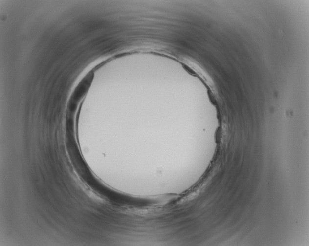 X0000082680948200702232134