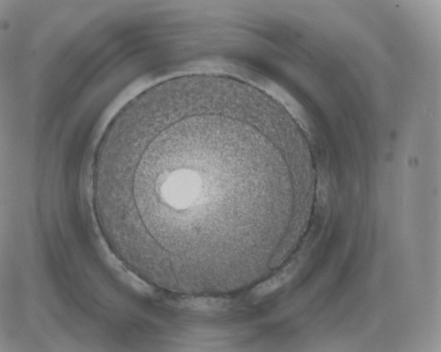 X0000082680950200702232134